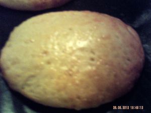 016-copie-1.JPG