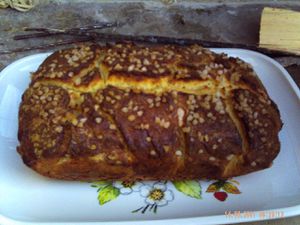 PICT0008-copie-4.JPG