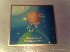 PICT0005-copie-6.JPG