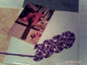 PICT0030.JPG