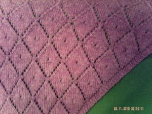 PICT0009-copie-5.JPG