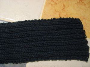 tricot-2535.JPG