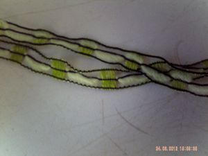 PICT0234.JPG