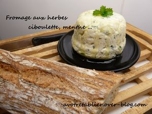 fromage-maison.JPG