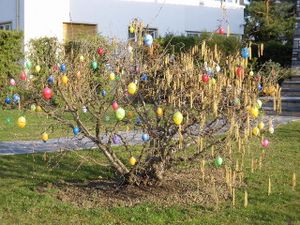 Bild-015-copie-1.jpg