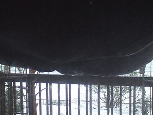 DSC07988.JPG