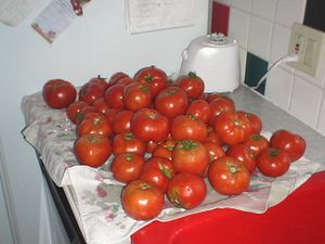 DSC04180.JPG