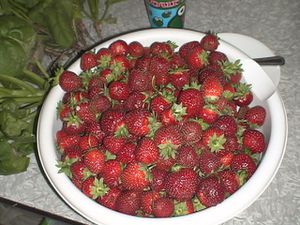 DSC03822.JPG
