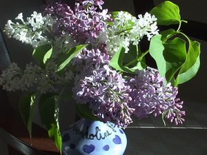 DSC05510.JPG