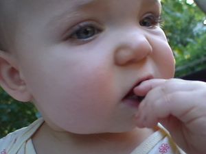 DSC07240.JPG