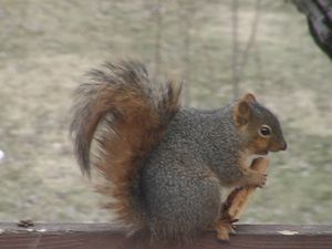 DSC05210.JPG