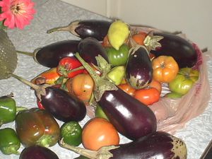DSC04587.JPG