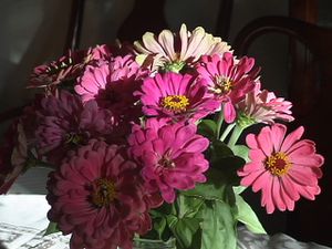 DSC04480.JPG