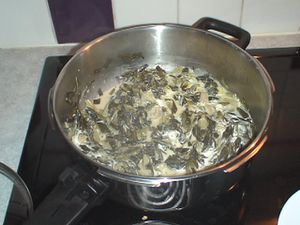 DSC04483.JPG