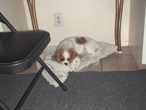 DSC04512.JPG