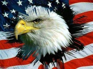 US-EAGLE.jpg
