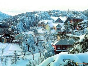chrea-sous-la-neige-visoterra-21059.jpg