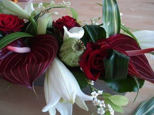 DSC00132.JPG