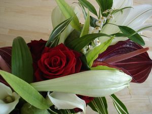 DSC00145.JPG