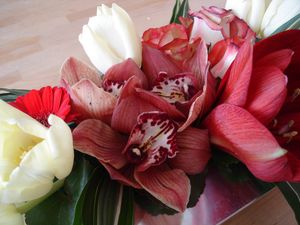DSC01037.JPG