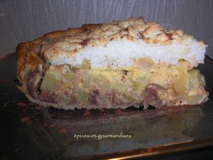 tarte à la rhubarbe chocolatée et meringuée aux-copie-1