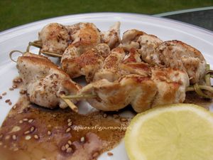 brochettes de poulet au sésame doré CIMG8643 (2)