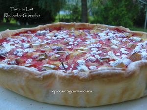 tarte au lait rhubarbe-groseilles CIMG9166 (2)