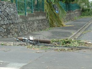 Poteau bois cassé lors du passage du cyclone Dina en 2002