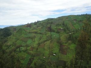 DSC03418