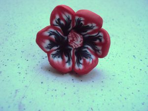 Fleurs rouge noire (6)