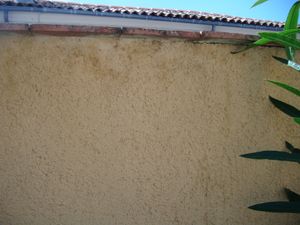 apres-mur-laurier.JPG