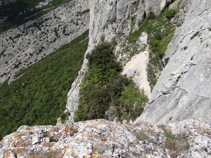 DSC07786