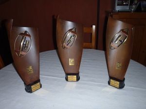 Ptits-Dauphins-2011.JPG