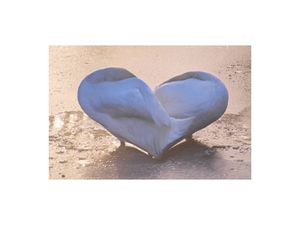 coeur cygne
