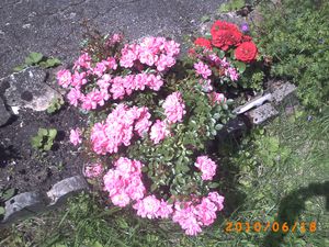 PICT0384