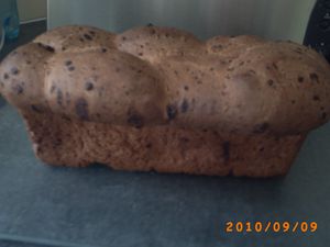 brioche-tout-choco-5.JPG