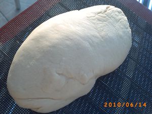 pains vieinnois au levain kayser 1