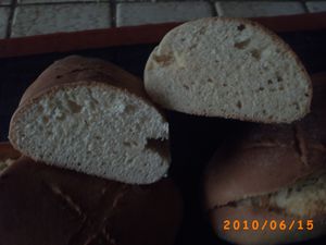 pains vieinnois au levain kayser 7