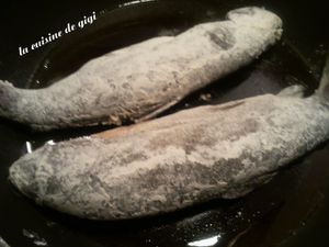 2011-02-10-copie-2.jpg