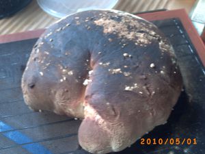 Pain au thermo4