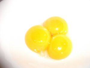 DSCF7016