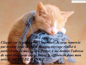 fond chat tricot