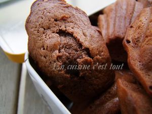 Madeleines-chocolat-miel-02.jpg