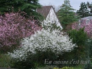 HSE-2010-03-28-01.jpg