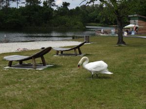 4. lac gurson éductour (19)