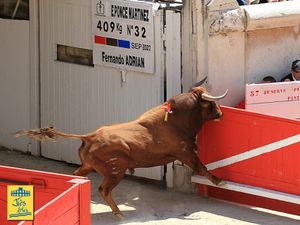 NIMES-2011-0138-JScrdm.jpg