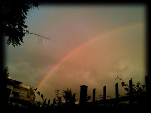 photo(3)-copie-7