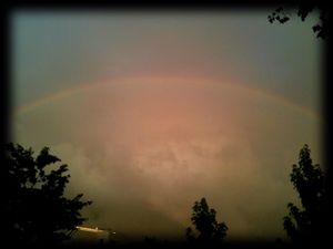 photo(4)-copie-2