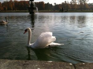 photo-4--copie-4.jpg