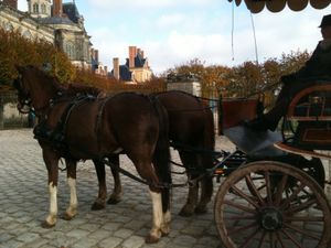photo(6)-copie-3